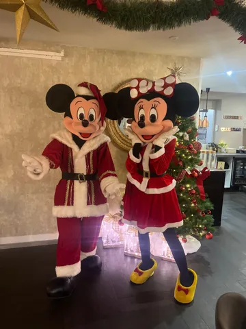 Mickey Minnie Noël en situation