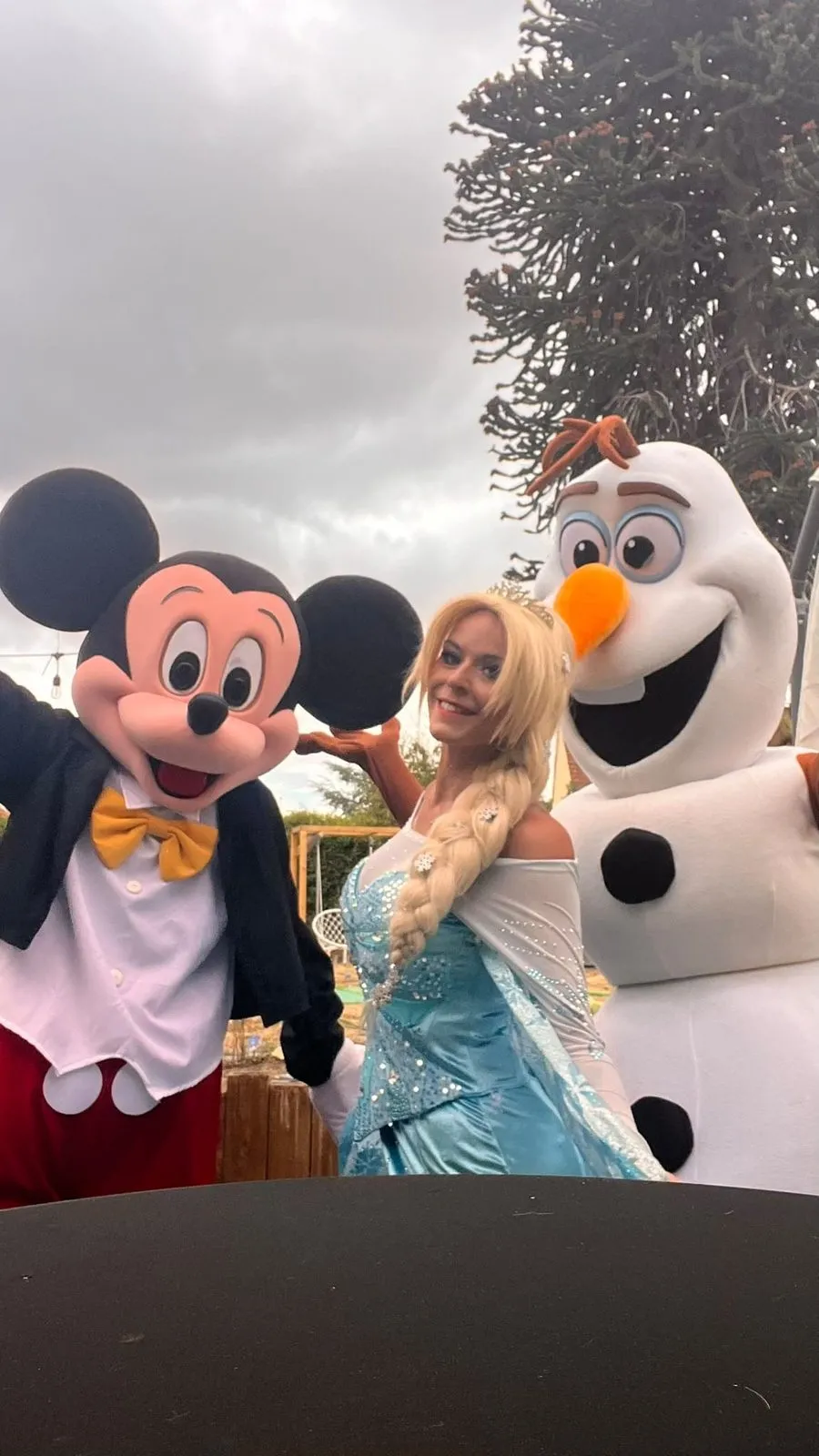 Elsa, Mickey