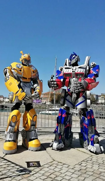 Bumblebee en situation
