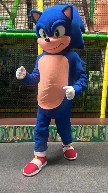 Sonic en situation