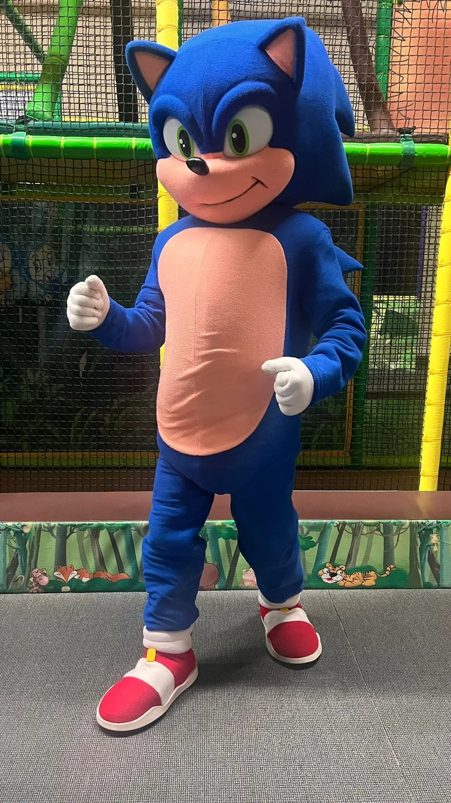 Sonic