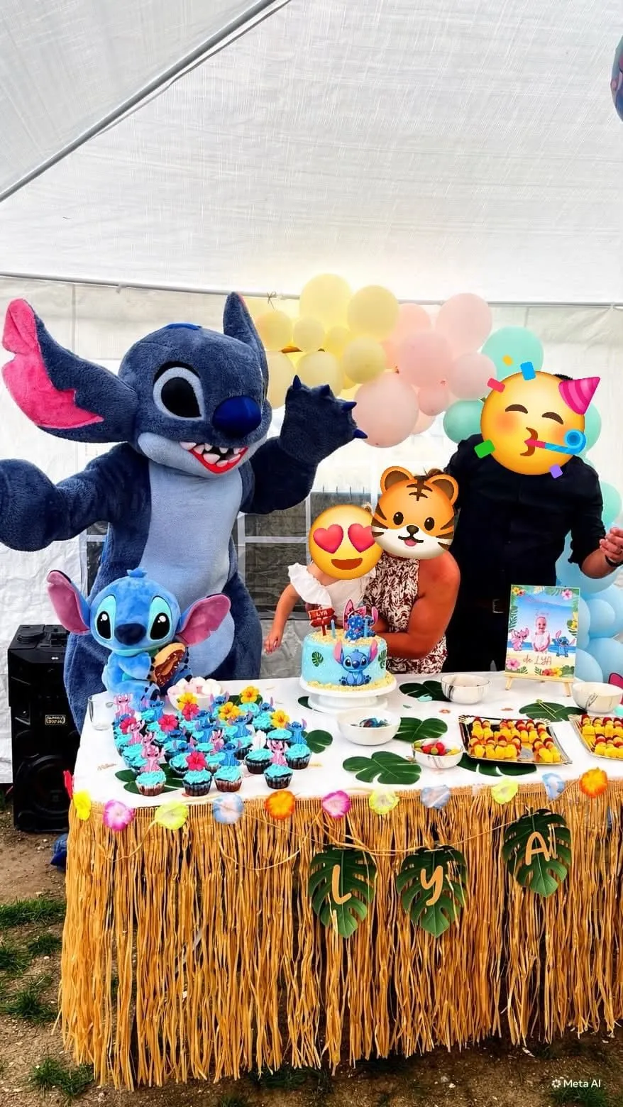 Stitch